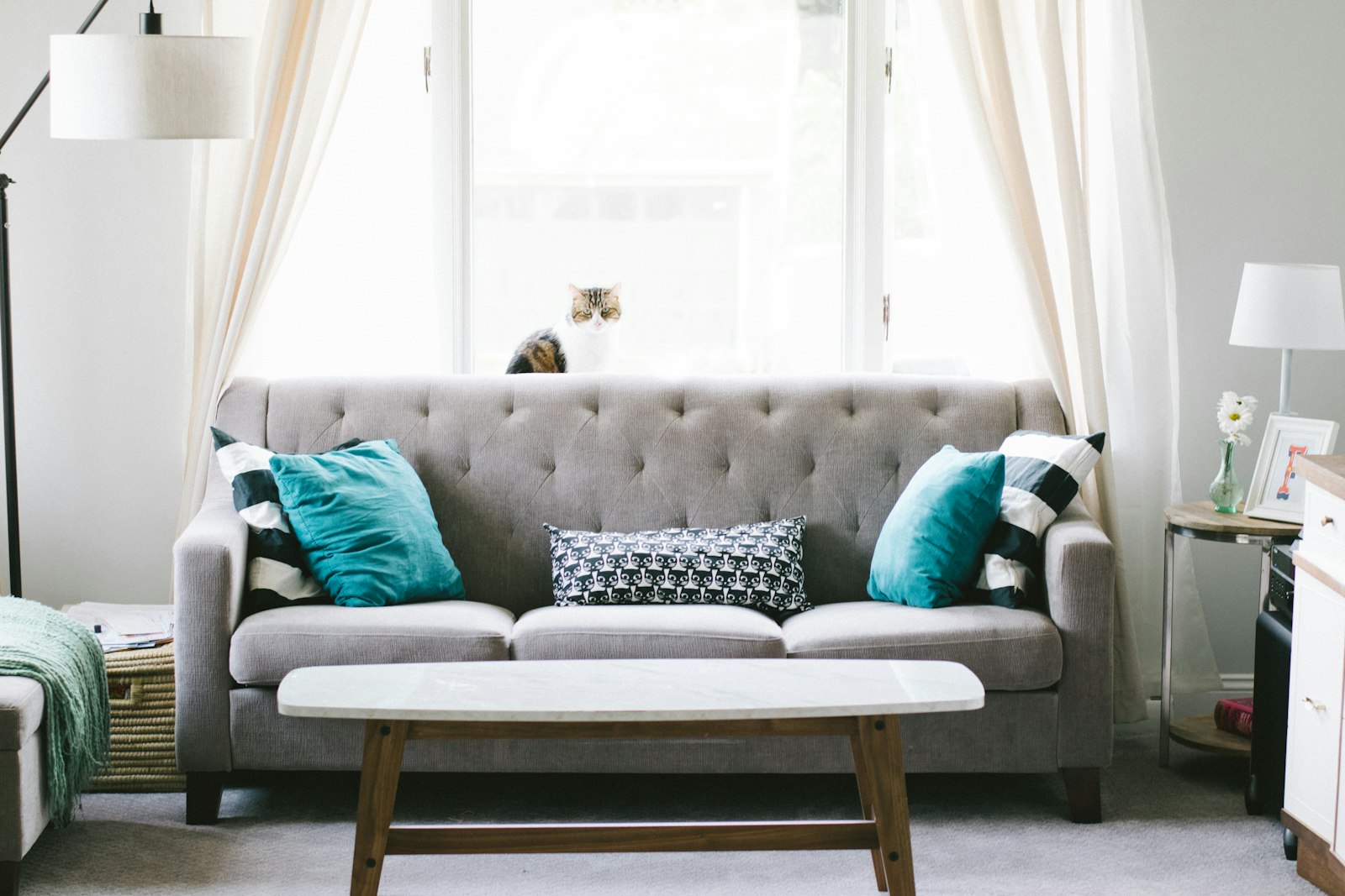 Bright lived-in lounge with a grey fabric sofa, cushions and coffee table