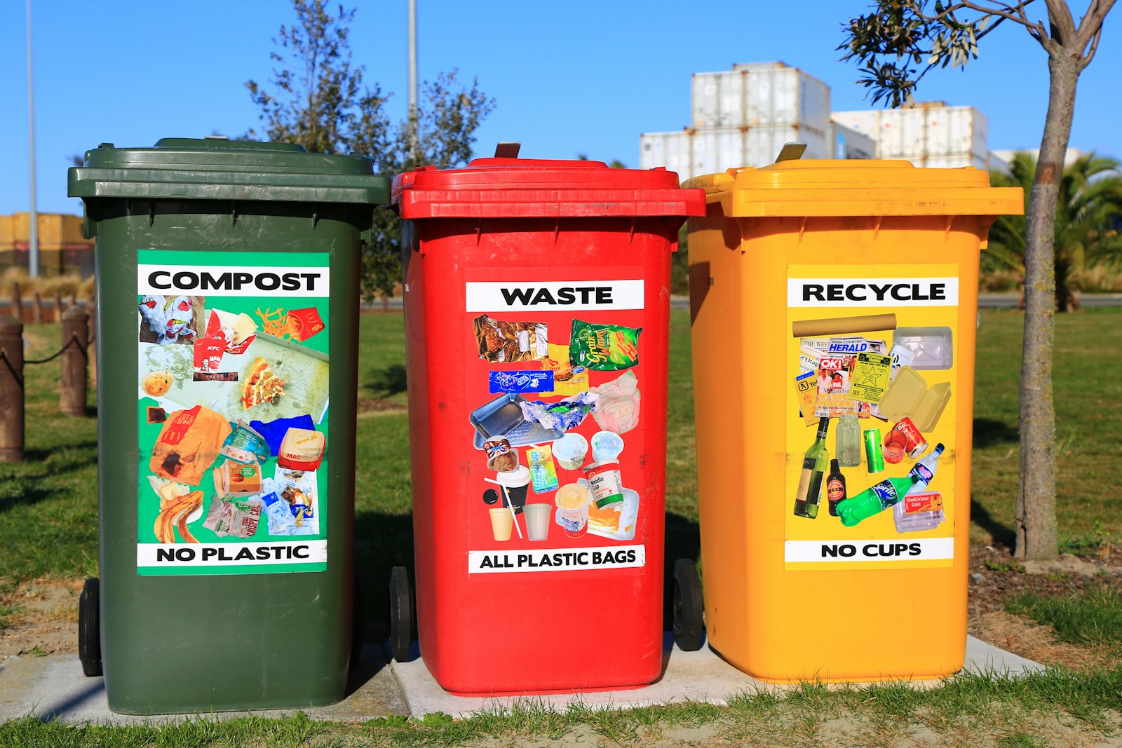 Three kerbside wheelie bins labelled Compost, Waste and Recycle standing on grass in sunshine